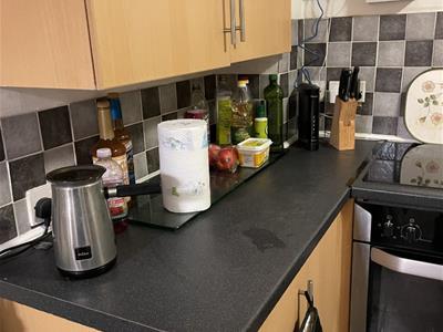 Picture 13